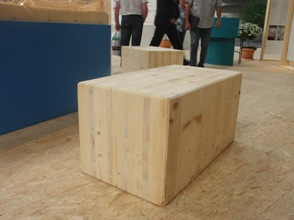 Ligna2011-2.JPG